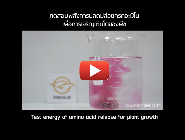Test Energy of Amino Acid Release for Plant Growth 